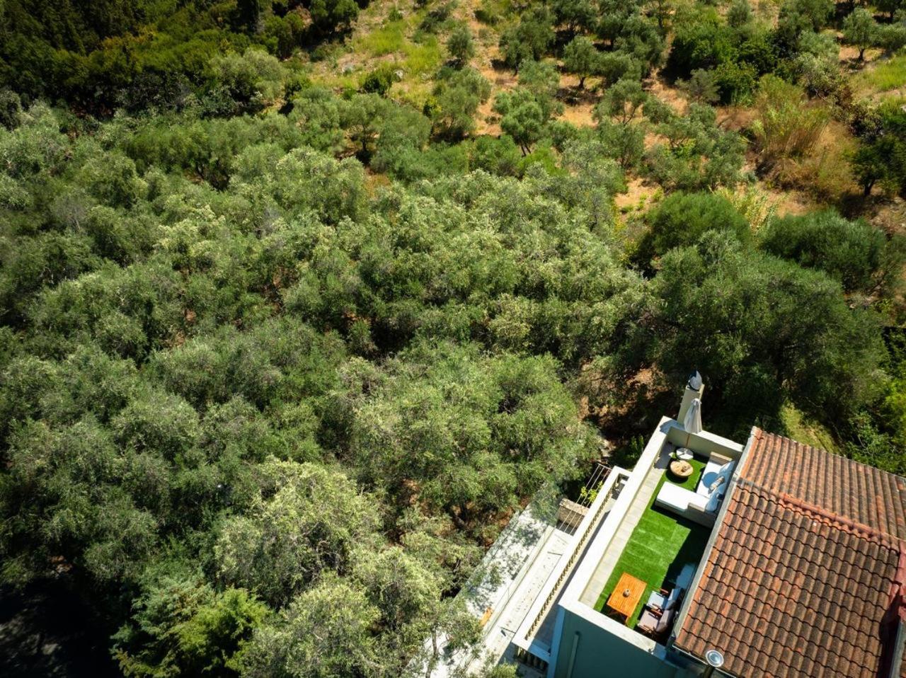 Апартаменты Mavres Luxury Loft Agios Matthaios  Экстерьер фото